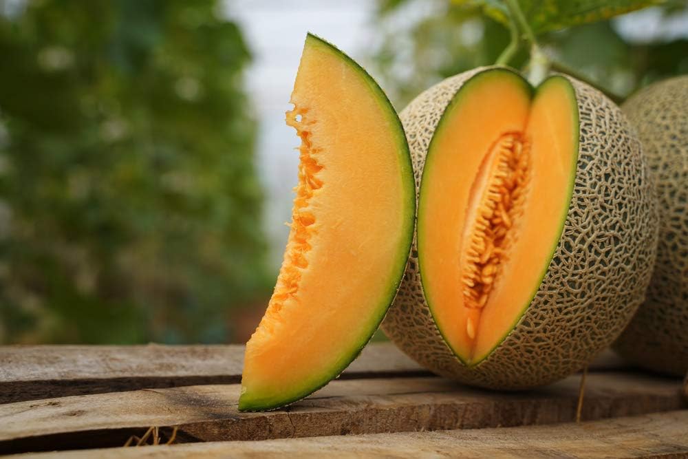 Semillas de melón “Hearts of Gold” para plantar, más de 50 semillas de reliquia por paquete, semillas de jardín de Isla (semillas de jardín de