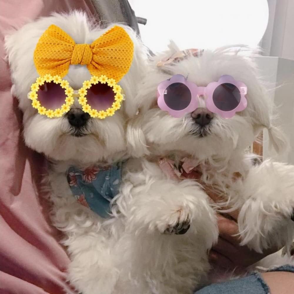 Diadema para perro, linda diadema de gato, lentes de sol de flores para mascotas con lazo para la cabeza, accesorios para el pelo de mascotas (azul)