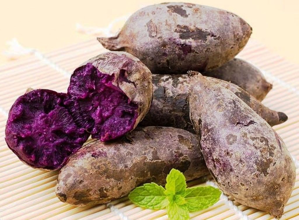 Forest Corner – Patata dulce morada japonesa – Excelente sabor y se almacena bien – Cultivado en Estados Unidos (5 libras)