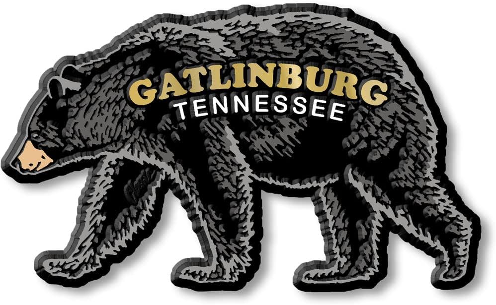 Imán de oso negro Gatlinburg de Classic Magnets, 4.1 x 2.5 pulgadas, recuerdos coleccionables fabricados en los Estados Unidos