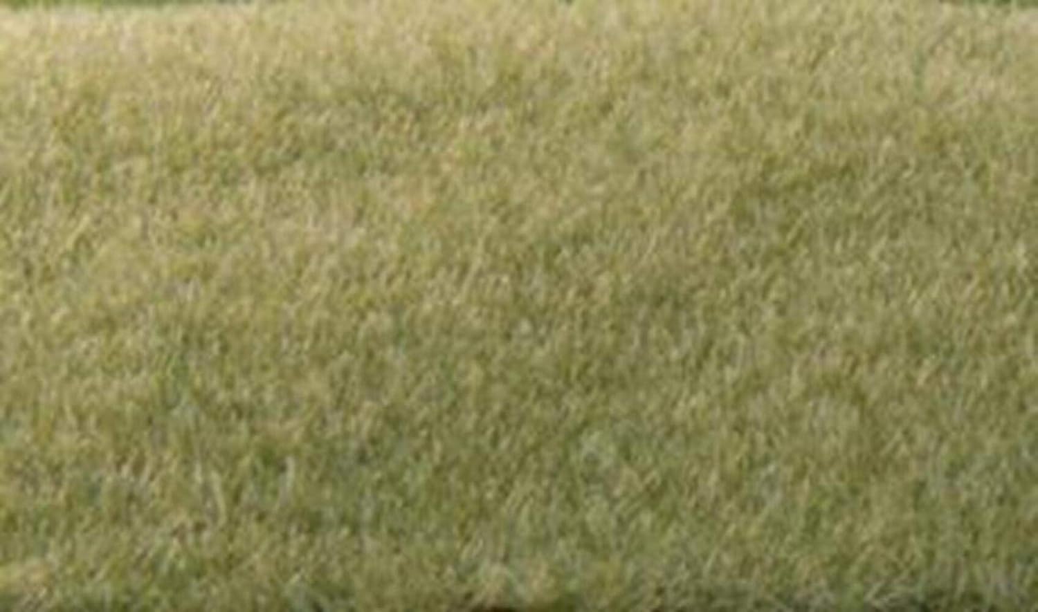 Woodland Scenic Static Grass 0.079 in-Light Green -FS615