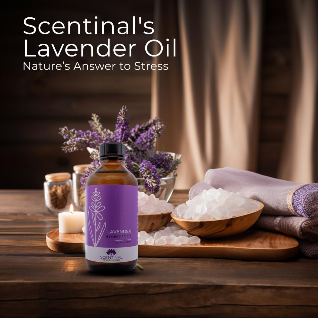 Aceite esencial de lavanda Scentinal  100% puro, natural y sin diluir  Botella extragrande de 4 onzas (4.1 fl oz) con cuentagotas  Experiencia