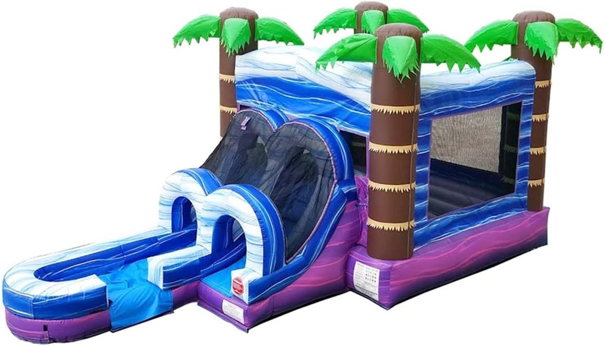 TentandTable Tobogán acuático inflable para niños pequeños y niños, castillo animoso de grado comercial para adultos, casa de salto, incluye
