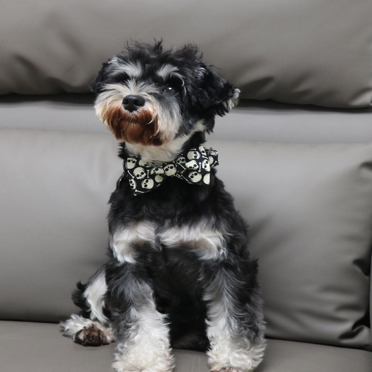 DOGWONG Collar de perro fantasma de Halloween con corbatín, collar de perro de calavera negra para Halloween, duradero y suave, collar de perro para