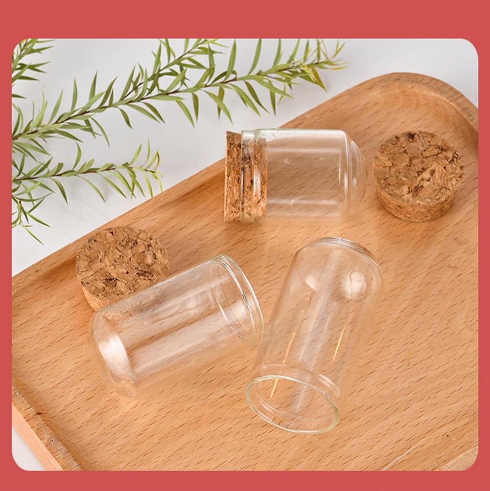 12PCS Mini Glass Dome Cloche Decorative Bell Jar with Cork Base for Flower Snad Storage Home Wedding Party Favors Arts and Small Projects 3x4cm