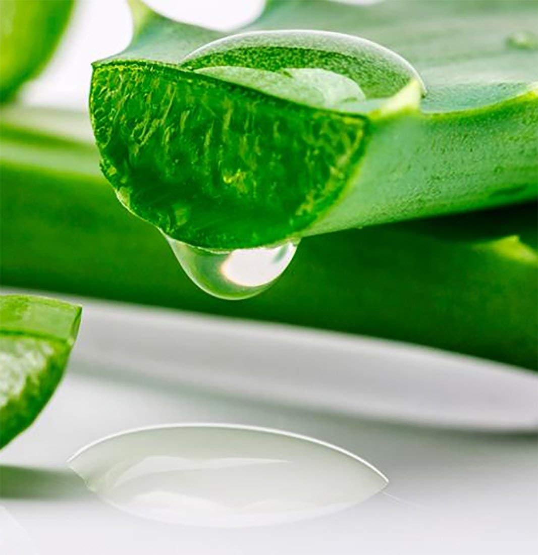 Sun Laboratories By Giesee Gel de hielo de aloe de 8 onzas líquidas, gel de aloe vera para aliviar quemaduras solares, cuidado después del sol y