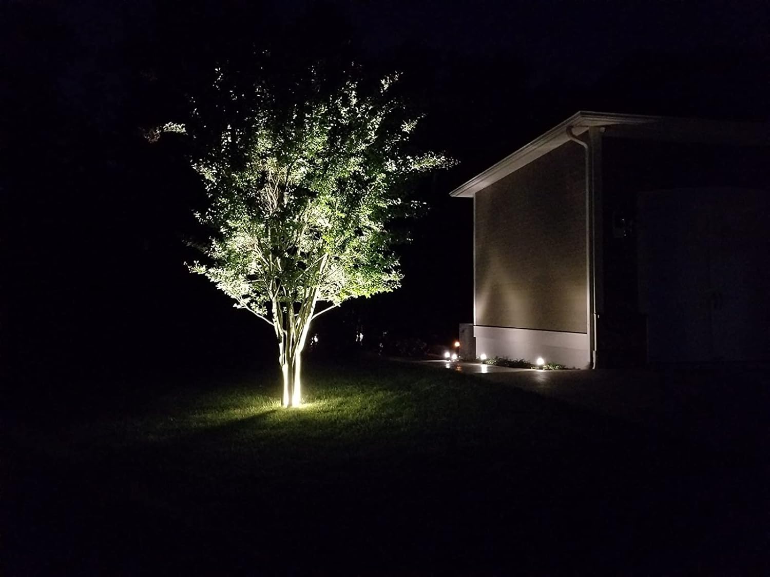 Familite PAR36 – Bombilla LED para paisaje, equivalente a halógeno de 12 W, 36 W, CACC 12 V, impermeable, luz blanca cálida de 3000 K para luz de