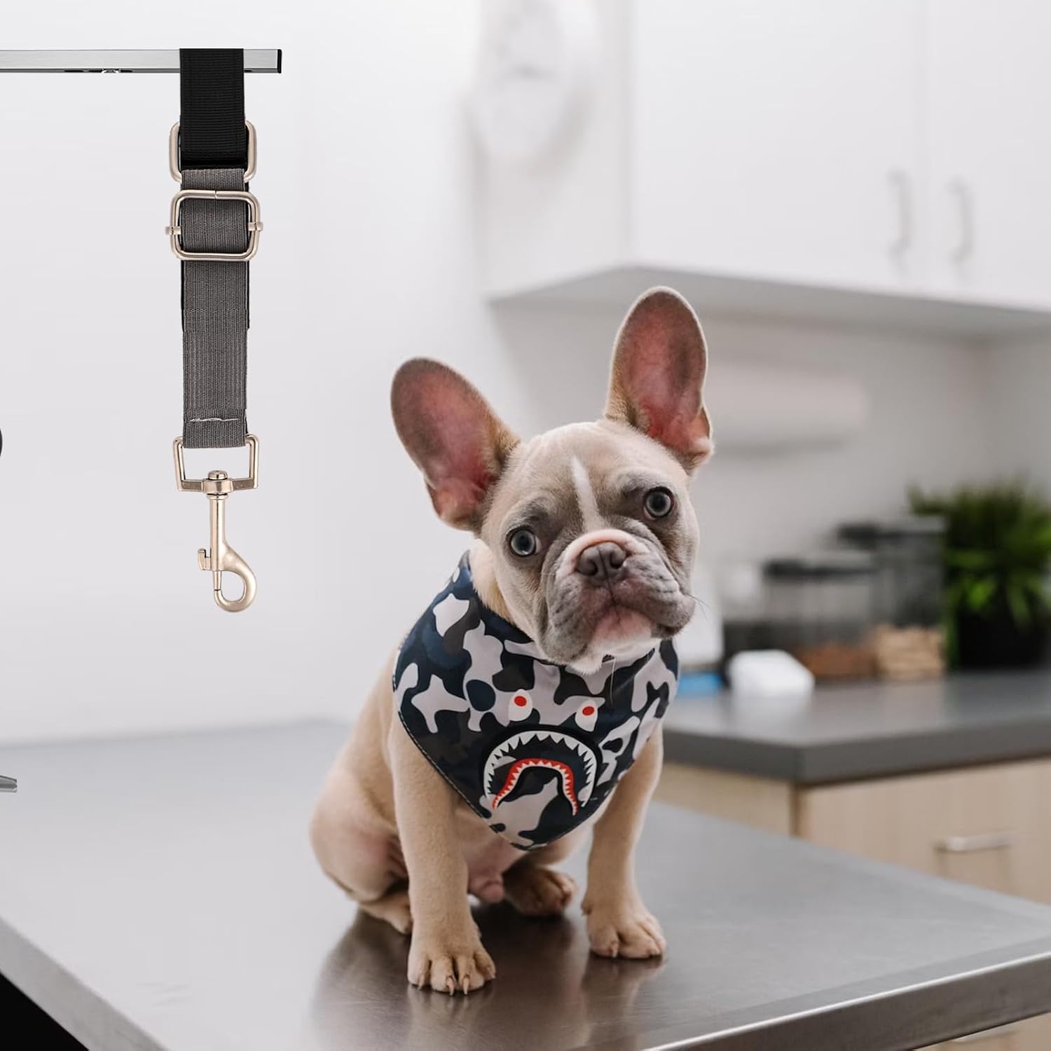 2 correas extensoras de aseo para perros, correa de nailon para aseo de perros, extensión de bucle de aseo resistente, correas ajustables para aseo