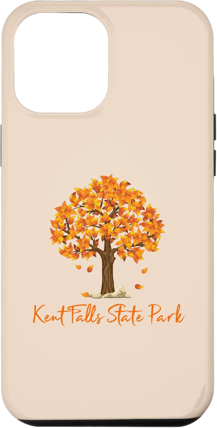 Funda de color para iPhone 13 Pro Max Kent Falls State Park Autumn Follage Fall Leaf Peeping