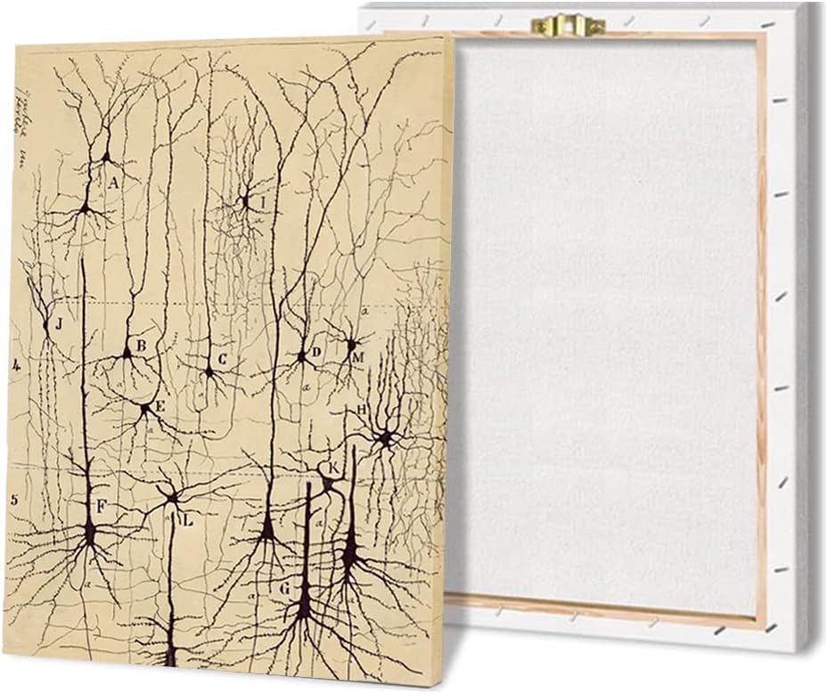 Dibujo de neuronas, Santiago Ramón y Cajal, impresión artística antigua de anatomía cerebral, pósteres vintage, pinturas en lienzo, pósteres e