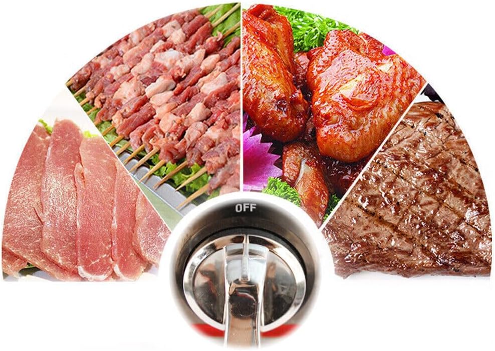 RustyVioum Parrilla de barbacoa de gas de 2 quemadores, parrilla de gas portátil sin humo, cocina portátil de acero inoxidable para cocinar al aire