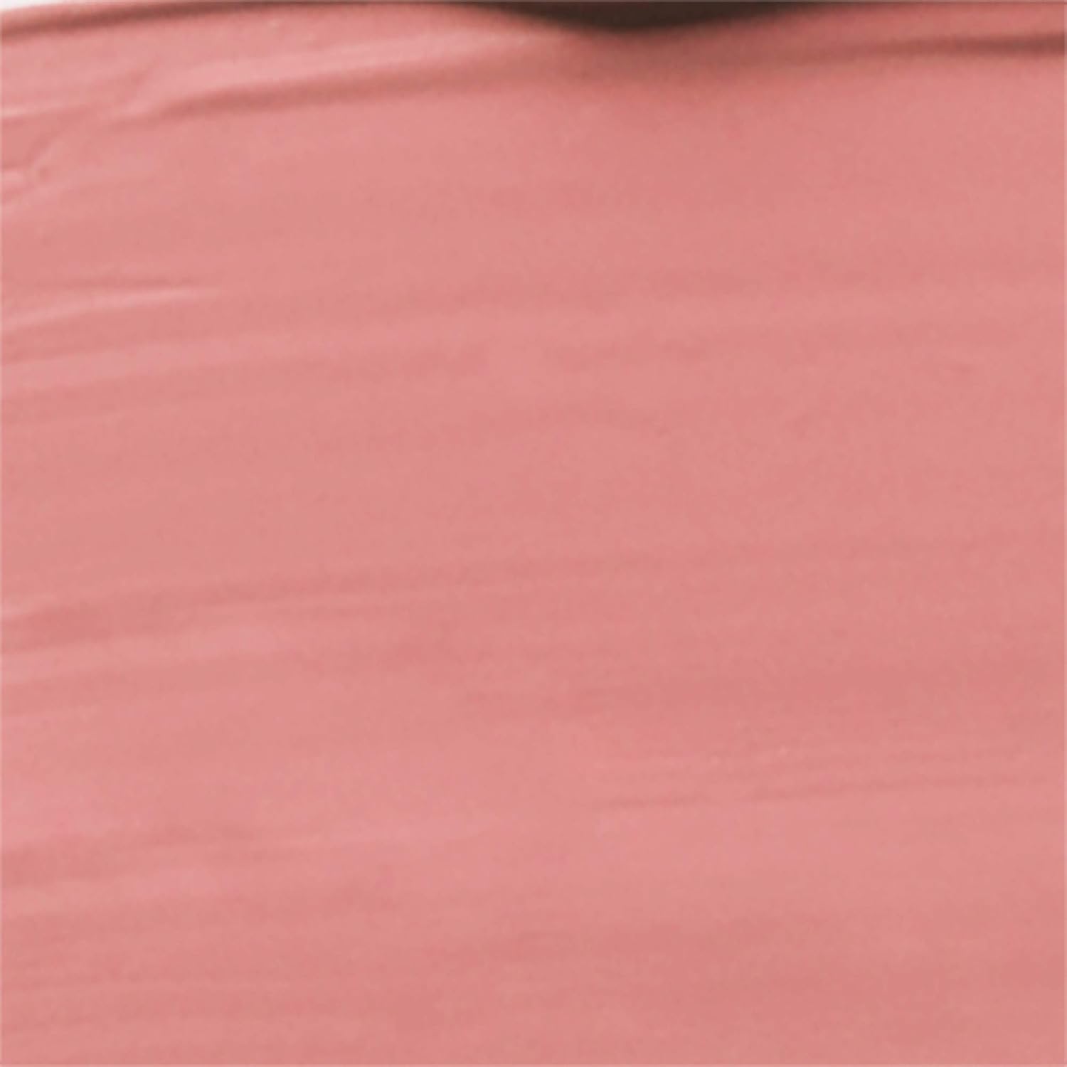 Wet N Wild Megalast Catsuit Labial líquido