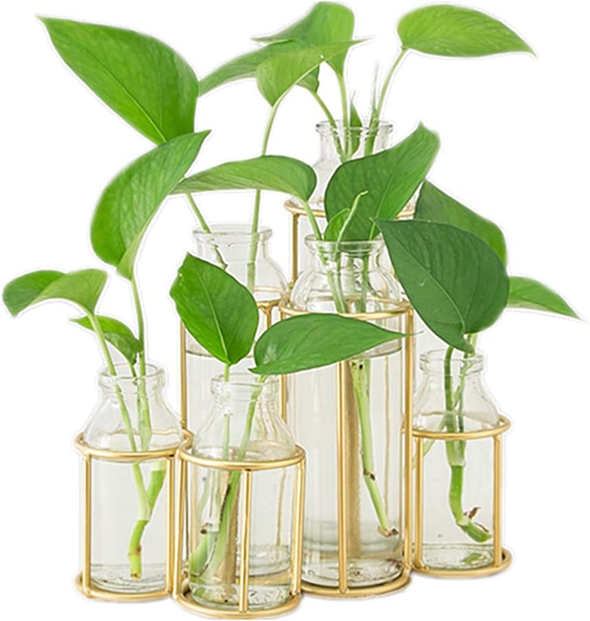 Radefasun Jarrones de flores con 6 botellas de cristal transparente con soporte de metal, estación de propagación de plantas, juego de soporte para