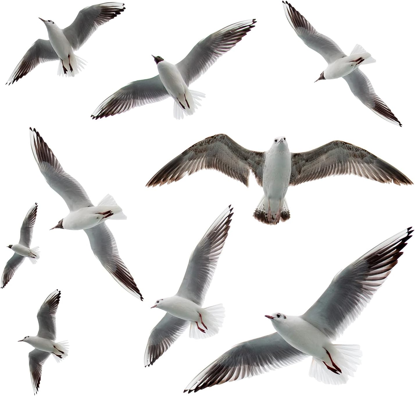 MEFOSS Calcomanías de pared de gaviota 3D para despegar y pegar, calcomanías de vinilo para decoración de pared de pájaros marinos voladores para
