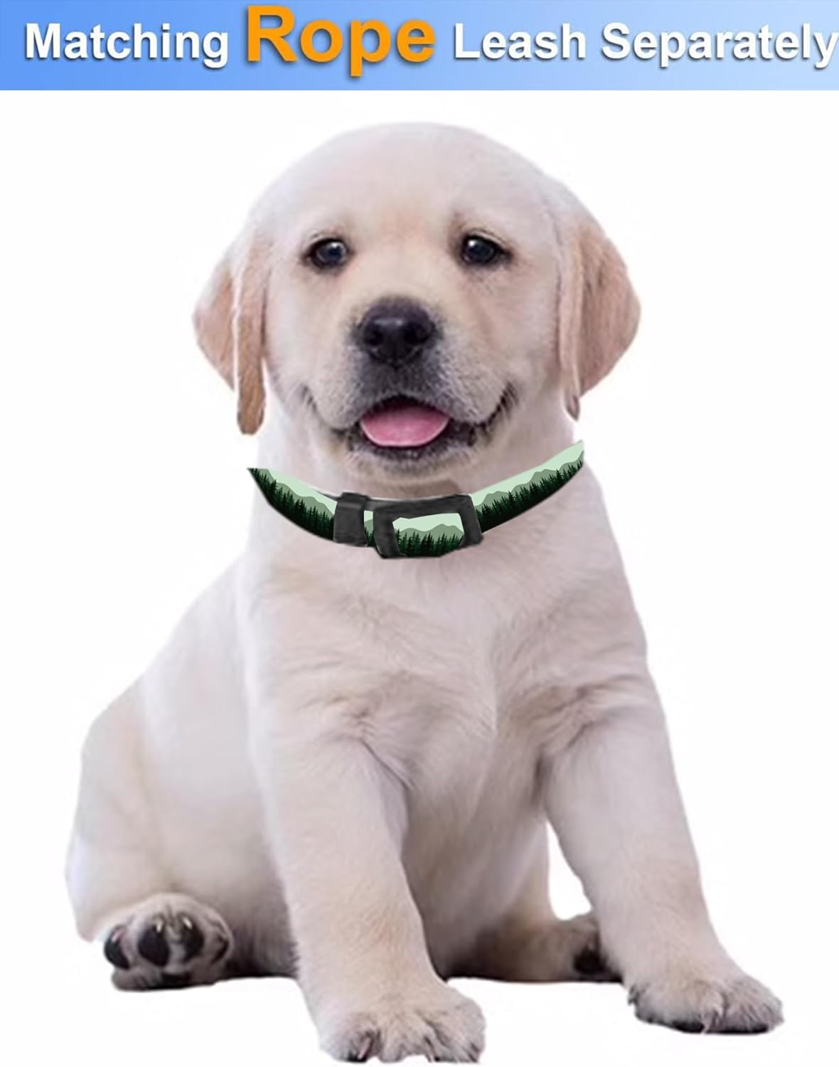 SXboxing Collar de perro, lindo collar de perro para perros pequeños, medianos y grandes, collares suaves personalizados ajustables para mascotas