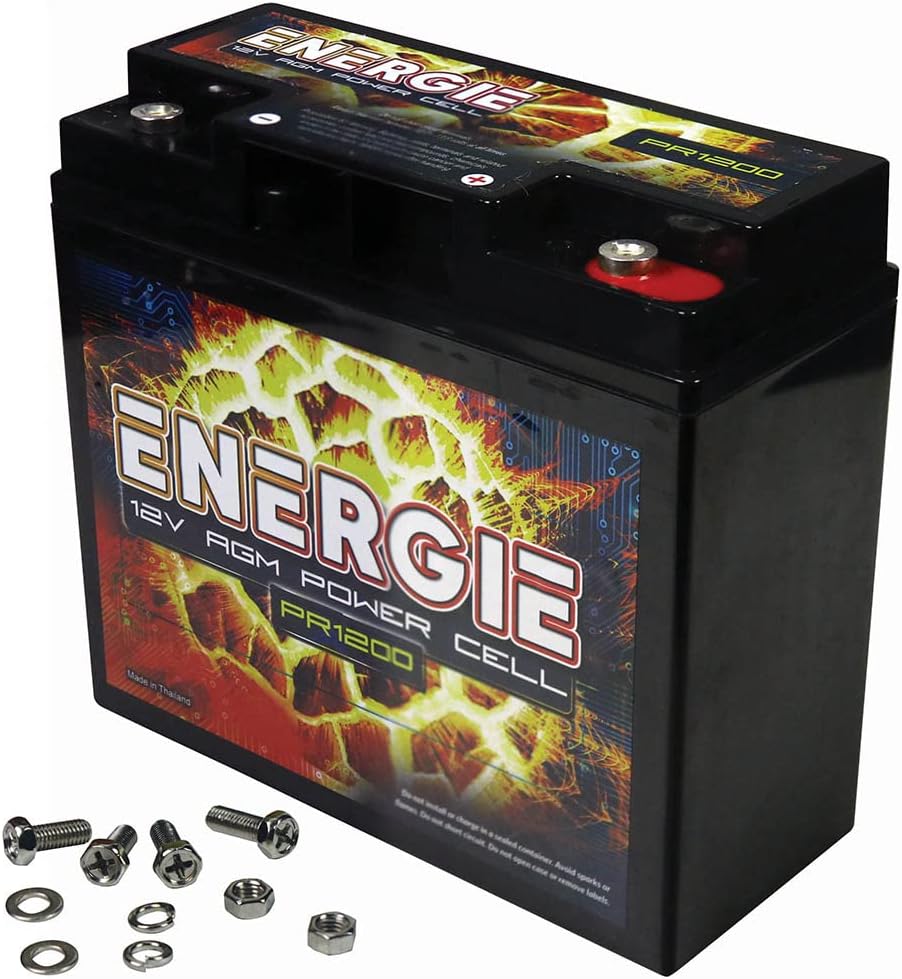 Reikken PR1200 Energie 1200 Watt 12 Volt Power Cell