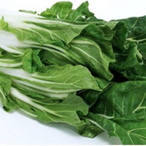 Acelga gigante Fordhook, deliciosa y nutritiva, aproximadamente 175 semillas Acelga gigante Fordhook, deliciosa y nutritiva, aproximadamente 175 semillas