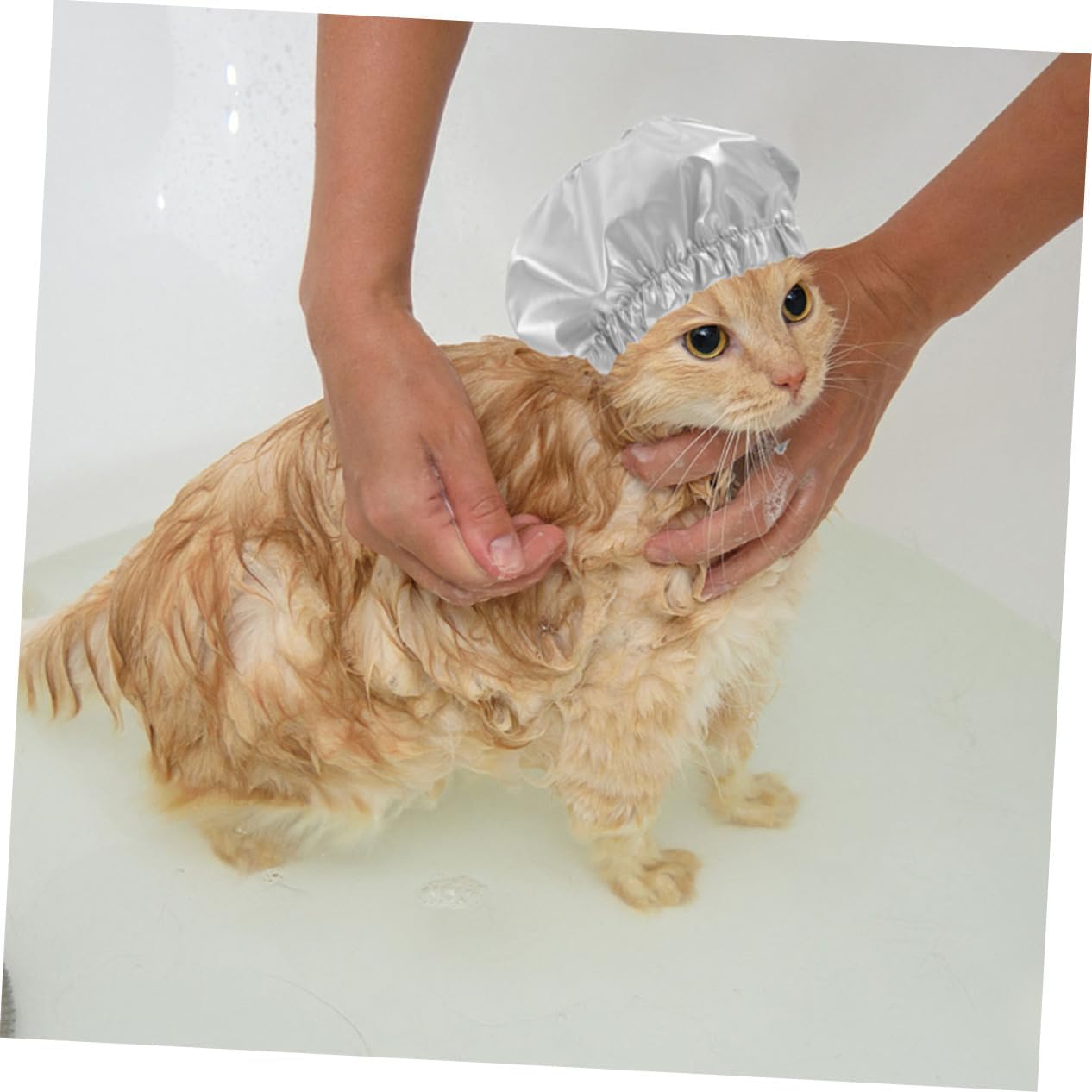 Gorro de ducha para mascotas, gorro de ducha para cachorros, gorro de baño para mascotas, gorro de ducha azul para cachorros, gorro de ducha para
