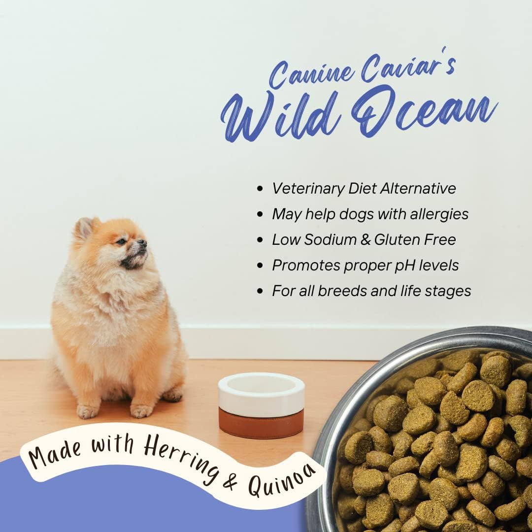 Canine Caviar Wild Ocean – Alimento holístico alcalino para perros con ingredientes limitados, para todas las etapas de la vida, sin gluten, comida