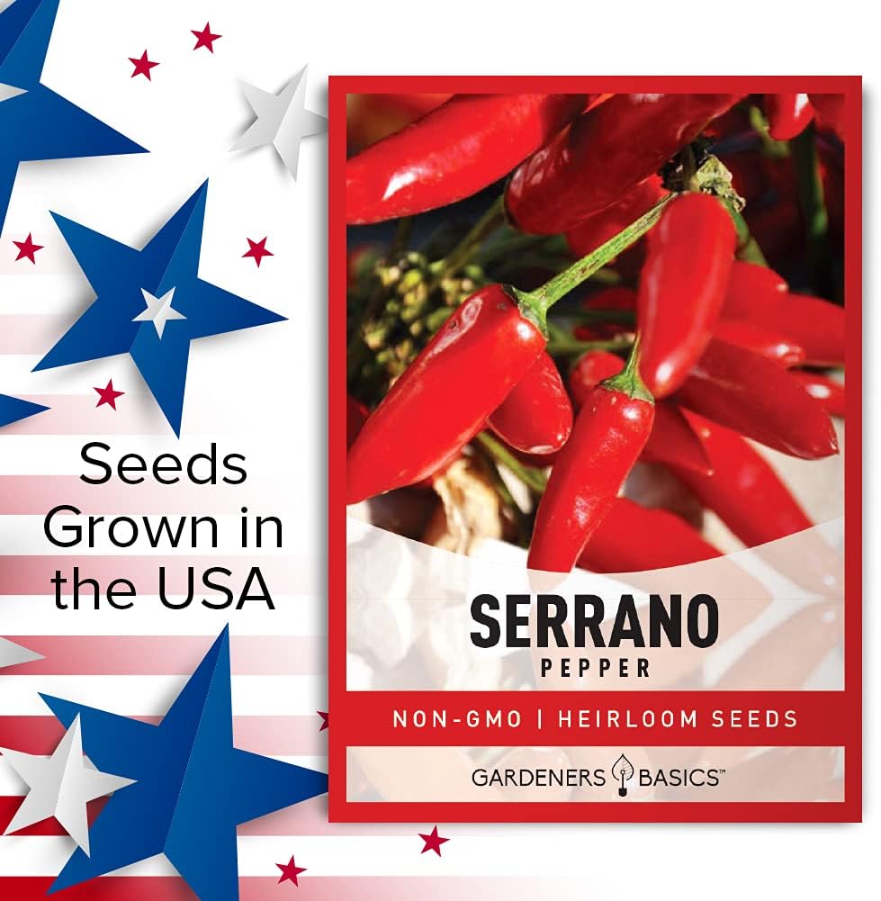 Semillas de pimiento serrano para plantar pimientos anchos sin OMG, semillas de plantas para verduras de jardín en el hogar, son un gran regalo para