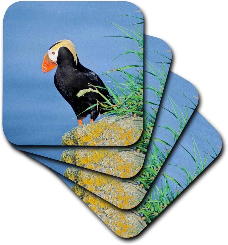 3dRose Puffin, en un acantilado – Alaska. – Posavasos suaves, juego de 4 (CST_206699_1)