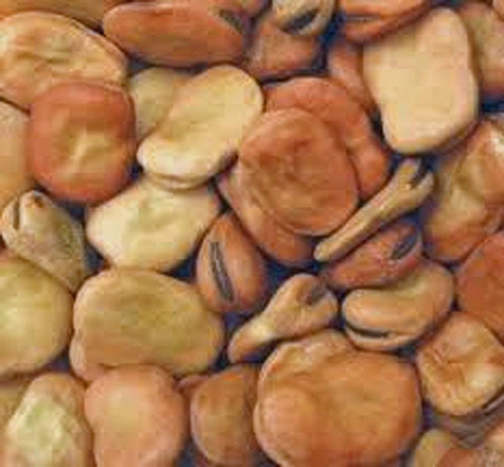 Semillas de frijol de caballo (también conocidas como semillas de frijol Fava) sin OMG, aproximadamente 20-25 semillas por paquete, frijol carnoso