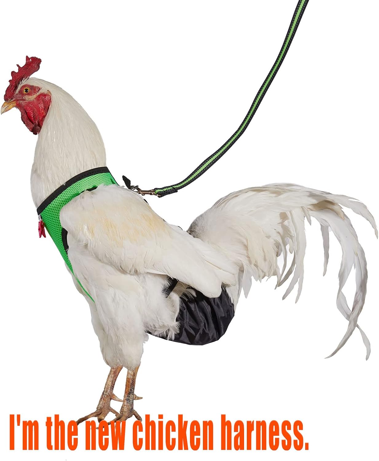 Arnés de pollo tamaño gallina con correa a juego de 6 pies lavable para mascotas, para pollitos, gansos, patos y más – Facilita el entrenamiento y