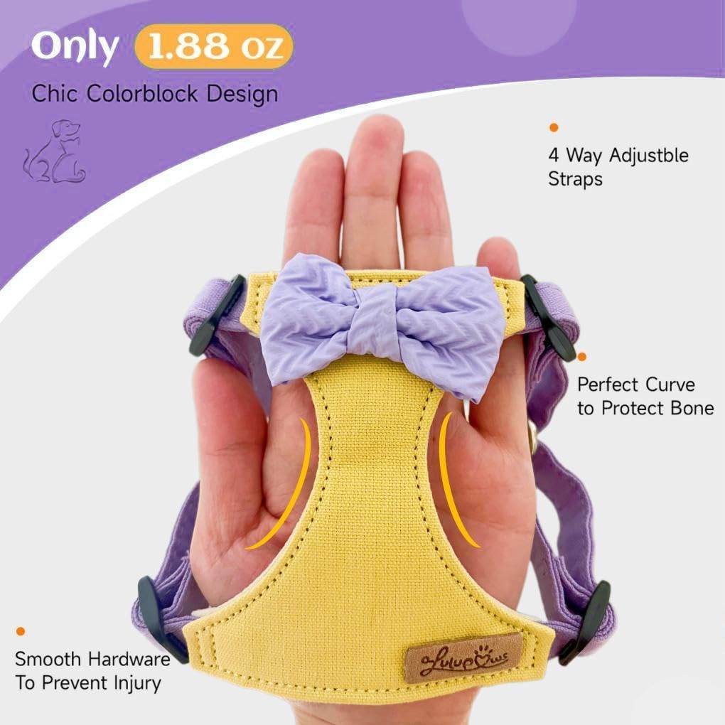 Juego de arnés y correa para mascotas sin tirones, arnés de chaleco ajustable, suave para perros y gatos pequeños y medianos, regalo para mascotas