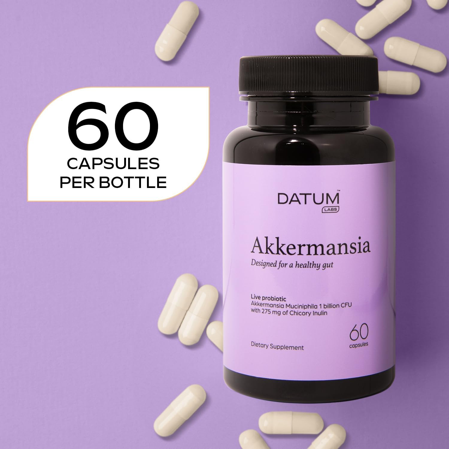 Akkermansia Muciniphila Probiotic + Prebiotic Metabolism Supplement – 2-Mth Shelf Stable Synbiotic 1Bn CFU – 60 DR Acid-Resistant Capsules