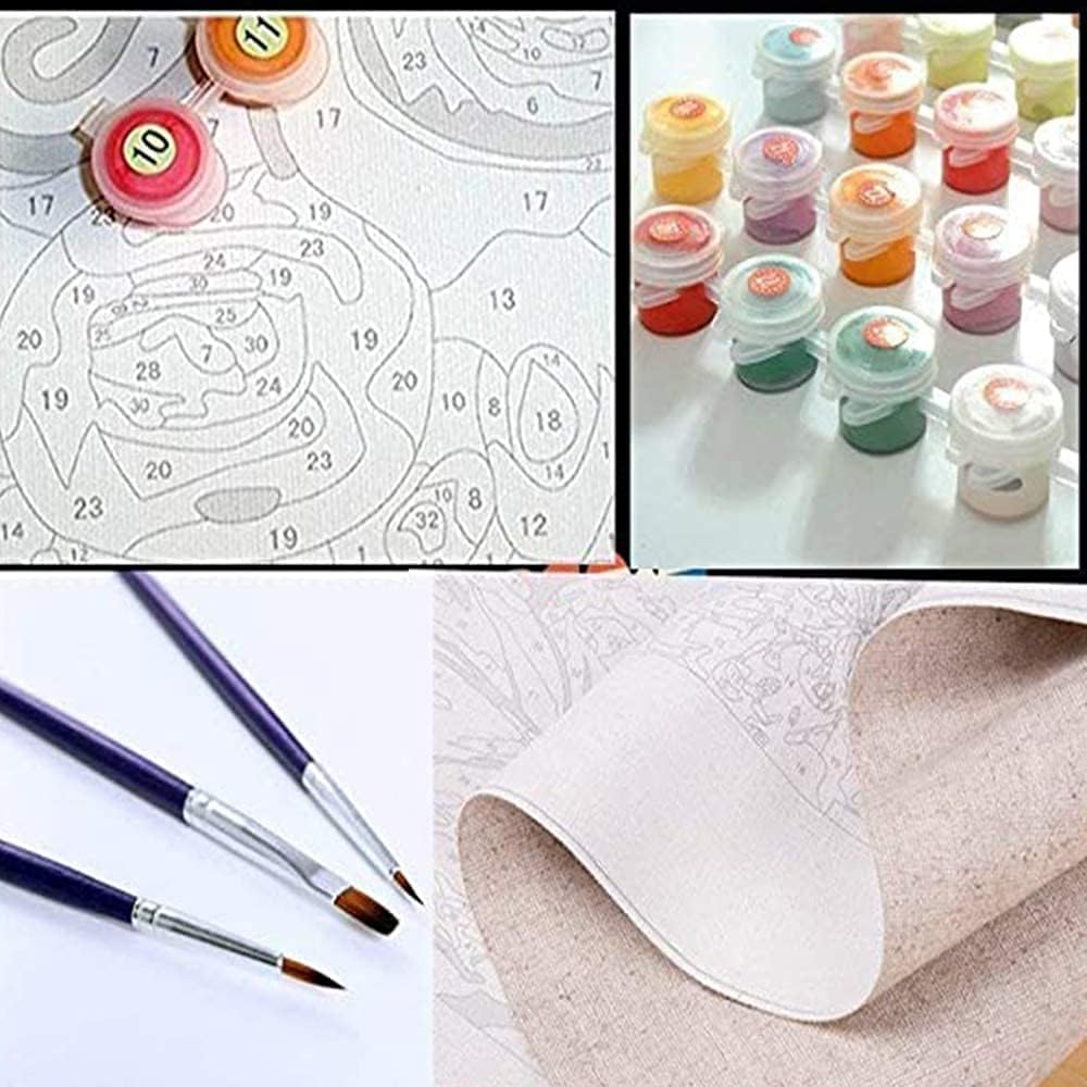 Aihonmin Pintura acrílica por números para adultos, kit de pintura al óleo colorido para bricolaje, letrero de juego deslumbrante, pintura, lienzo