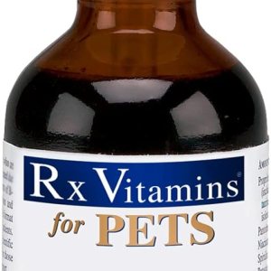 Rx Vitamins Suplementos Liquicarn de 4 oz Rx Vitamins Suplementos Liquicarn de 4 oz