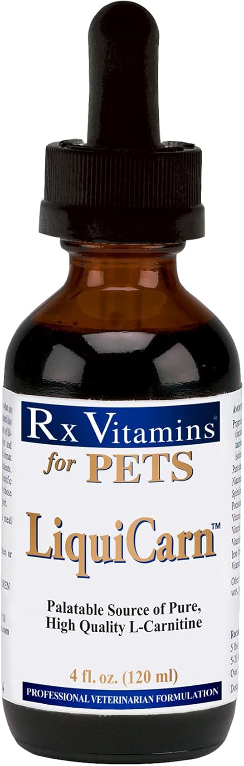 Rx Vitamins Suplementos Liquicarn de 4 oz