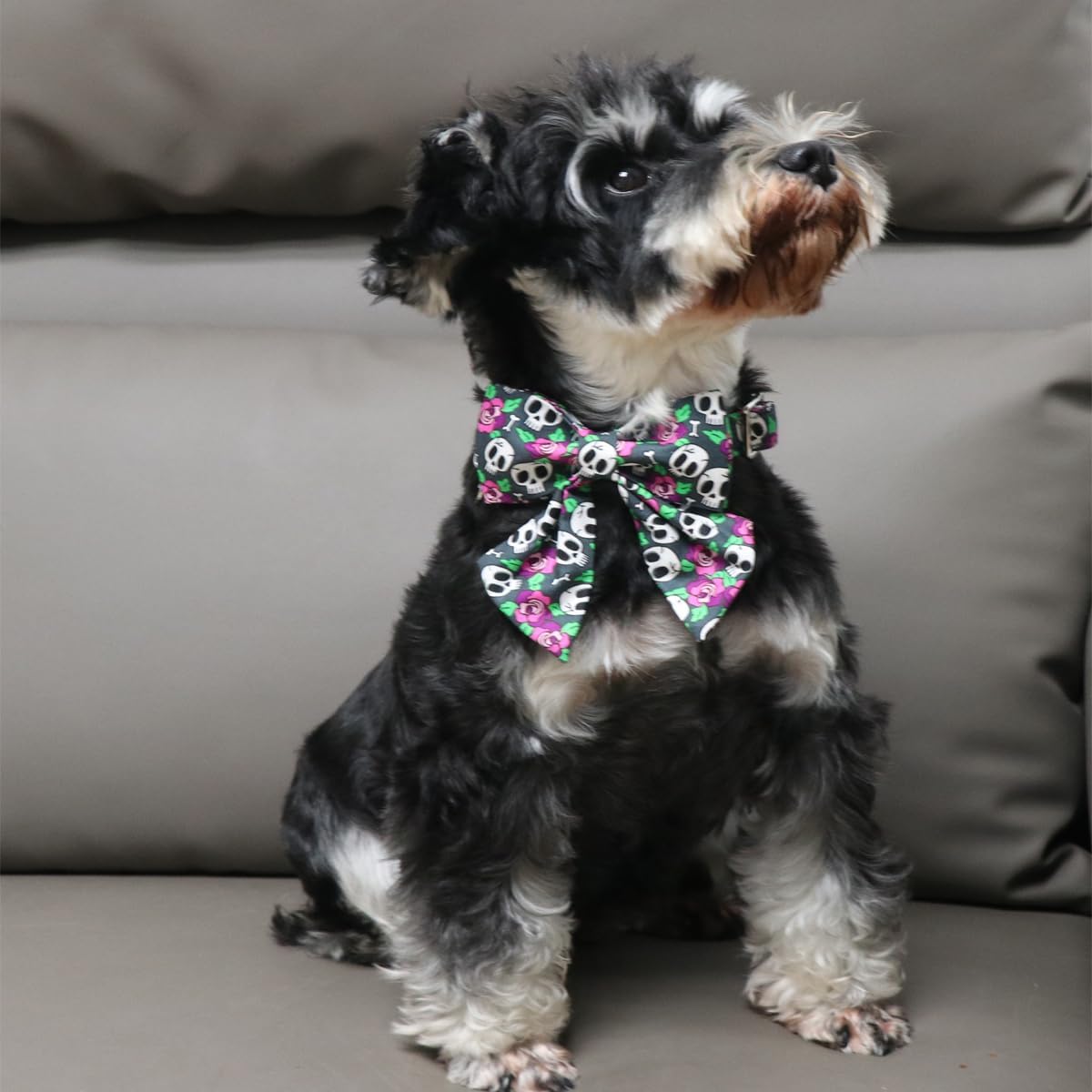 DOGWONG Collar de perro fantasma de Halloween con corbatín de marinero, collar de perro de calavera rosa para Halloween, duradero y suave, collar de