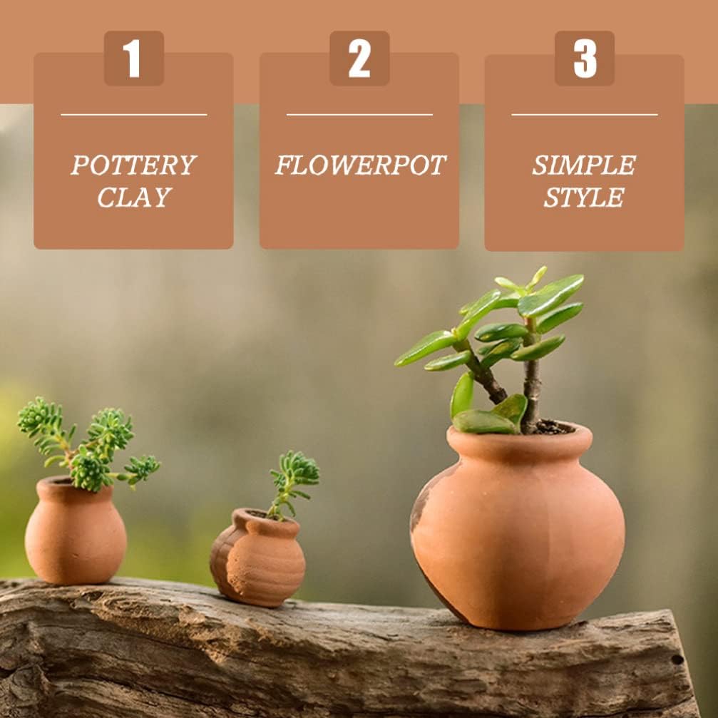 Yardwe 6 macetas de arcilla de terracota, mini macetas de flores para suculentas, cactus, vivero, macetas para bricolaje, hogar y oficina,
