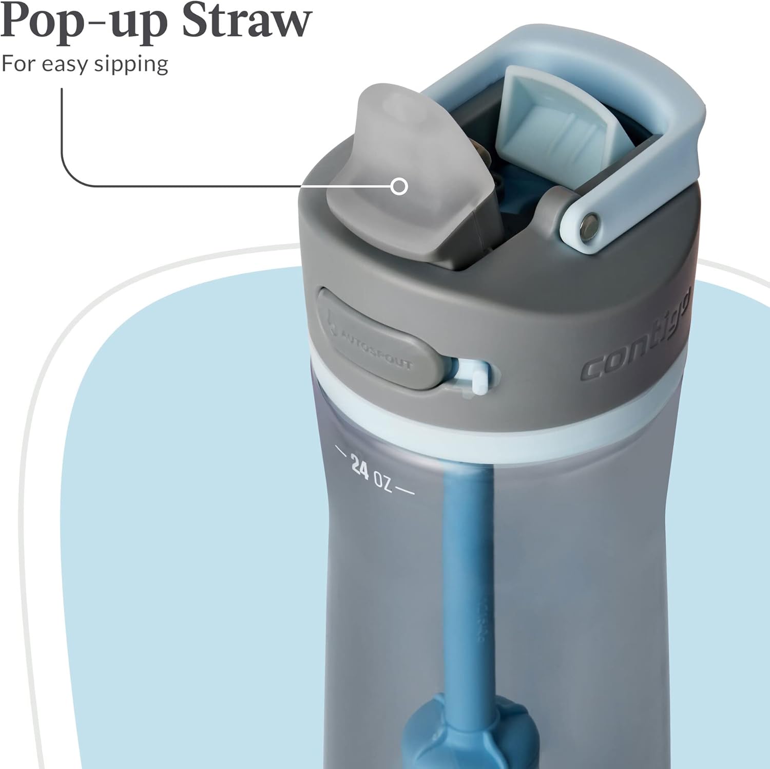 Contigo Wells – Botella de agua con filtro de plástico con tapa de popote a prueba de fugas y filtro de repuesto, botella de agua reutilizable de 24