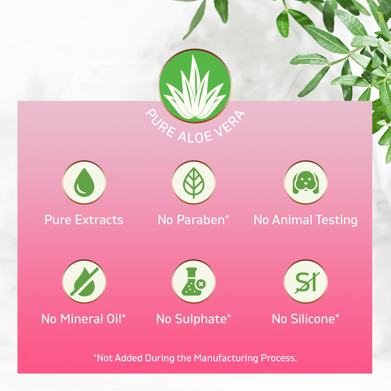 Gel calmante de aloe vera de aloe 100% puro recién cortado, grande, 12 onzas, vegano, sin perfume, para cara, piel, cabello, alivio de quemaduras