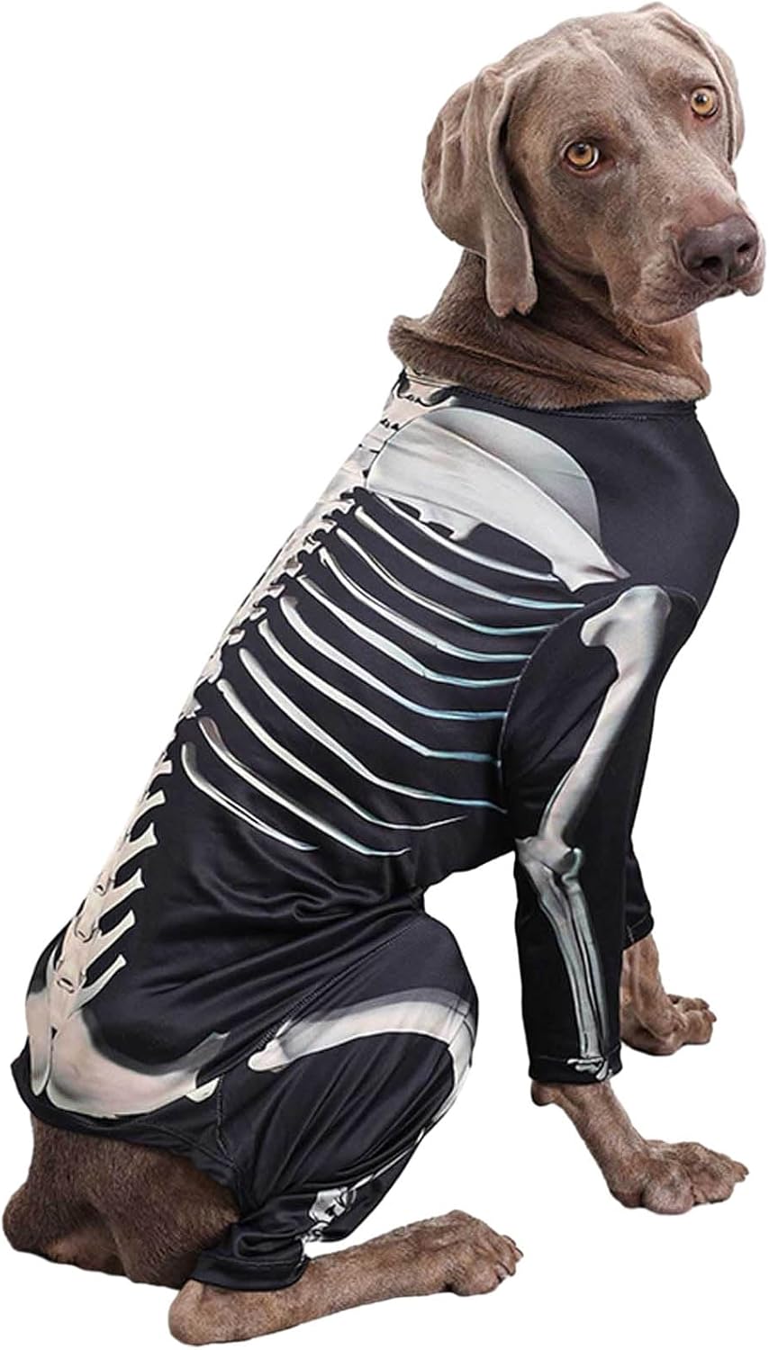 Disfraces de Halloween para perro, disfraz de Halloween para mascotas para perros y gatos, disfraz de esqueleto de Halloween para perro, ropa,