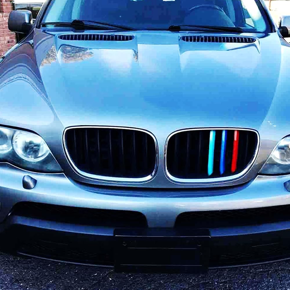 Ajuste exacto M – Rejilla de color compatible con BMW 2003-2006 E53 X5 7-vigas central riñón parrilla