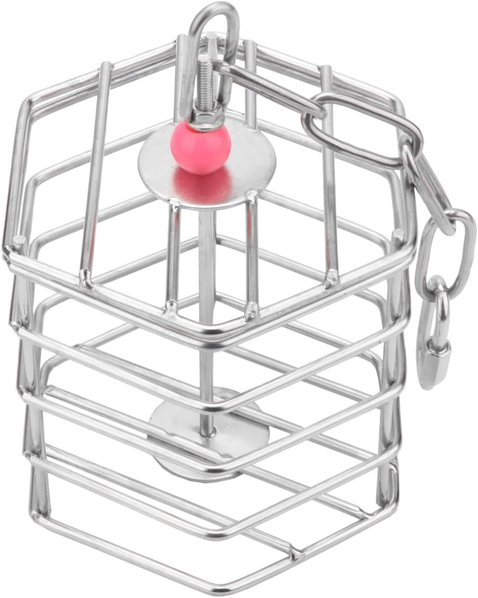 Alimentador de forraje de acero inoxidable para pájaros, caja de alimentación colgante para guacamayo, cacatúa gris africana, cacatúa, jaula de