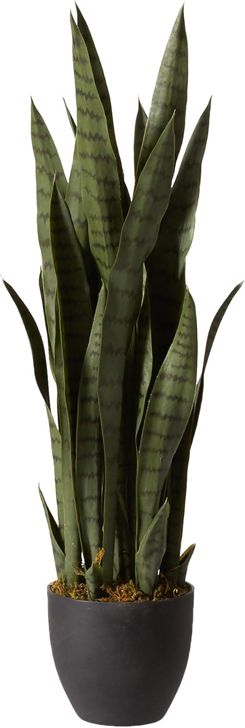Nearly Natural Sansevieria con maceta negra y palmera de caña dorada de 4 pies
