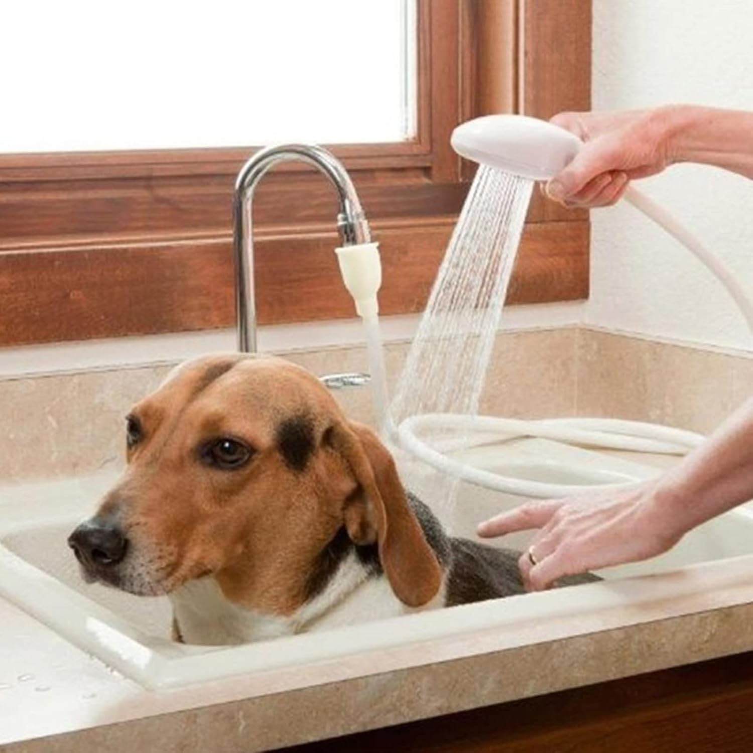 Accesorio de ducha para perros, manguera de ducha para mascotas con cabezal de ducha, accesorio rociador de grifo de fregadero de mano portátil,