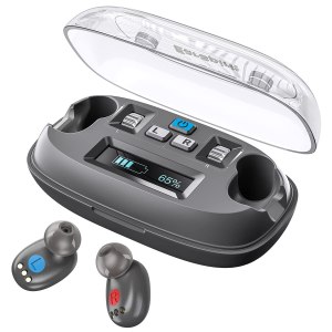 Audífonos para adultos mayores con cancelación de ruido, amplificadores auditivos digitales de 8 canales con LCD 100 horas de uso con estuche de Audífonos para adultos mayores con cancelación de ruido, amplificadores auditivos digitales de 8 canales con LCD 100 horas de uso con estuche de