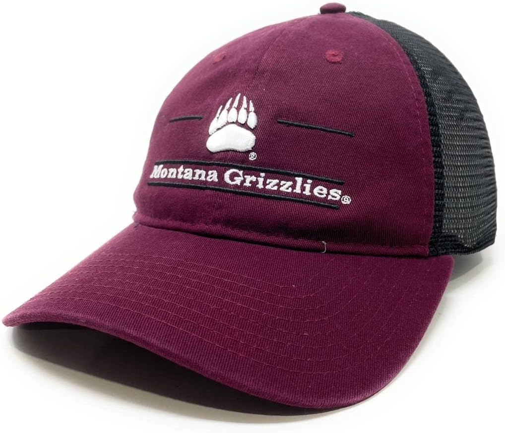 Gorra de camionero de la NCAA para hombre, de malla relajada, clásica, para hombres y mujeres
