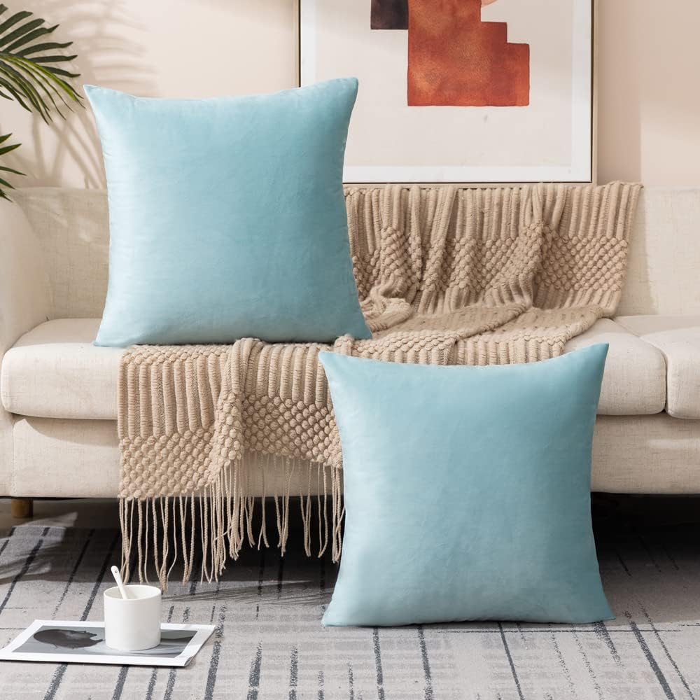 Paquete de 4 fundas de almohada de terciopelo, fundas de almohada suaves de 18 x 18 pulgadas, almohadas para decoración del hogar (20 x 20 pulgadas,