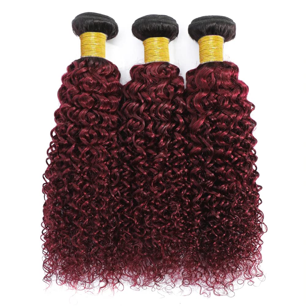 Extensiones de cabello humano ondulado brasileño de doble trama de color negro a rojo vino