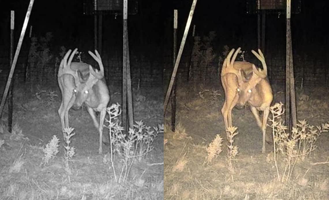 Stealth Cam Conecta la cámara de rastro celular