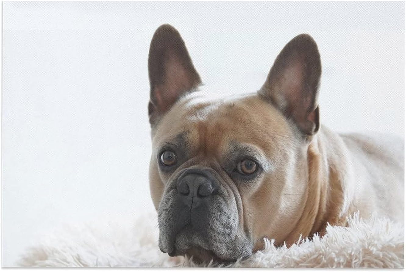 Pintura decorativa de bulldog francés, póster de animales para amantes de los animales, impresiones en lienzo para pared, decoración de pared