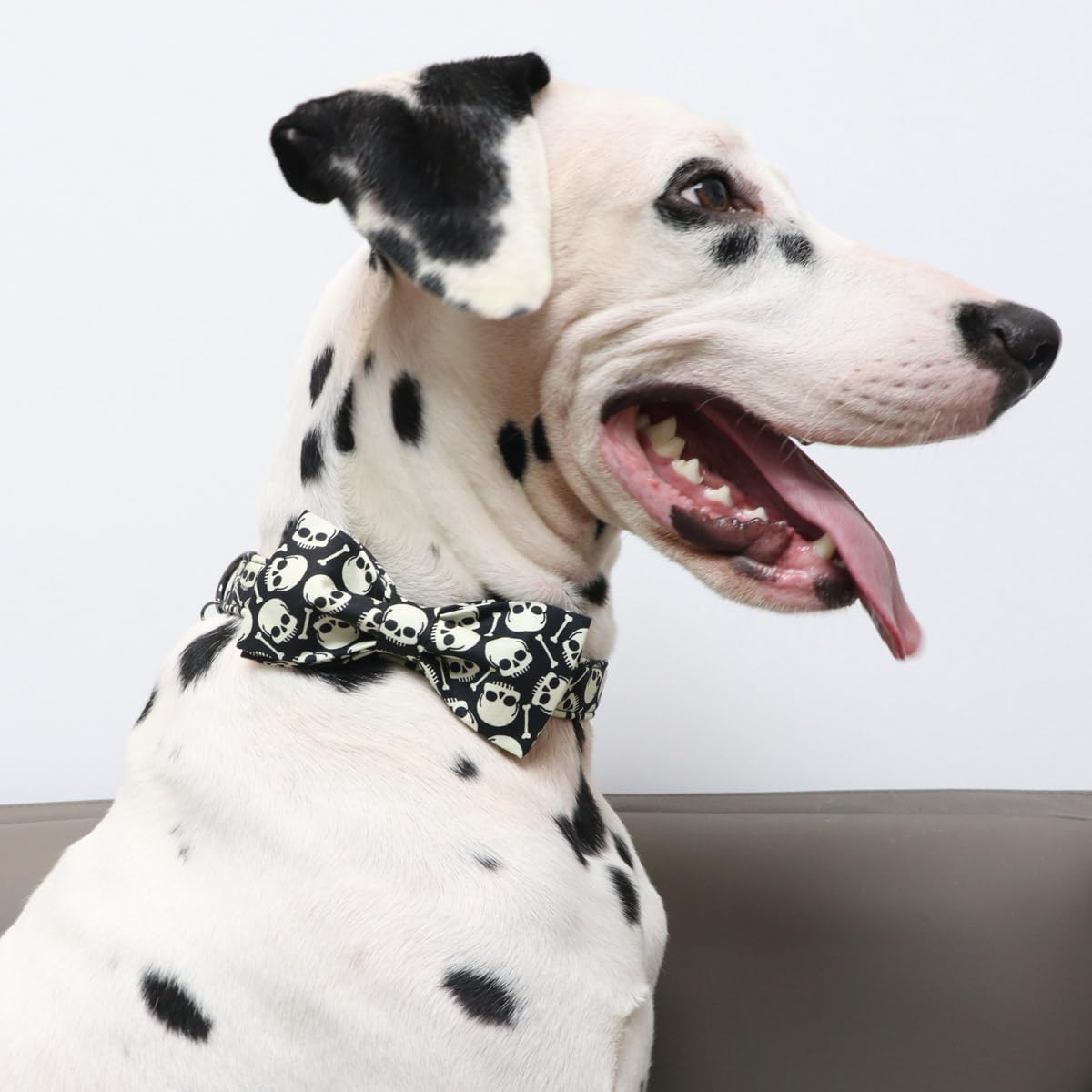 DOGWONG Collar de perro fantasma de Halloween con corbatín, collar de perro de calavera negra para Halloween, duradero y suave, collar de perro para