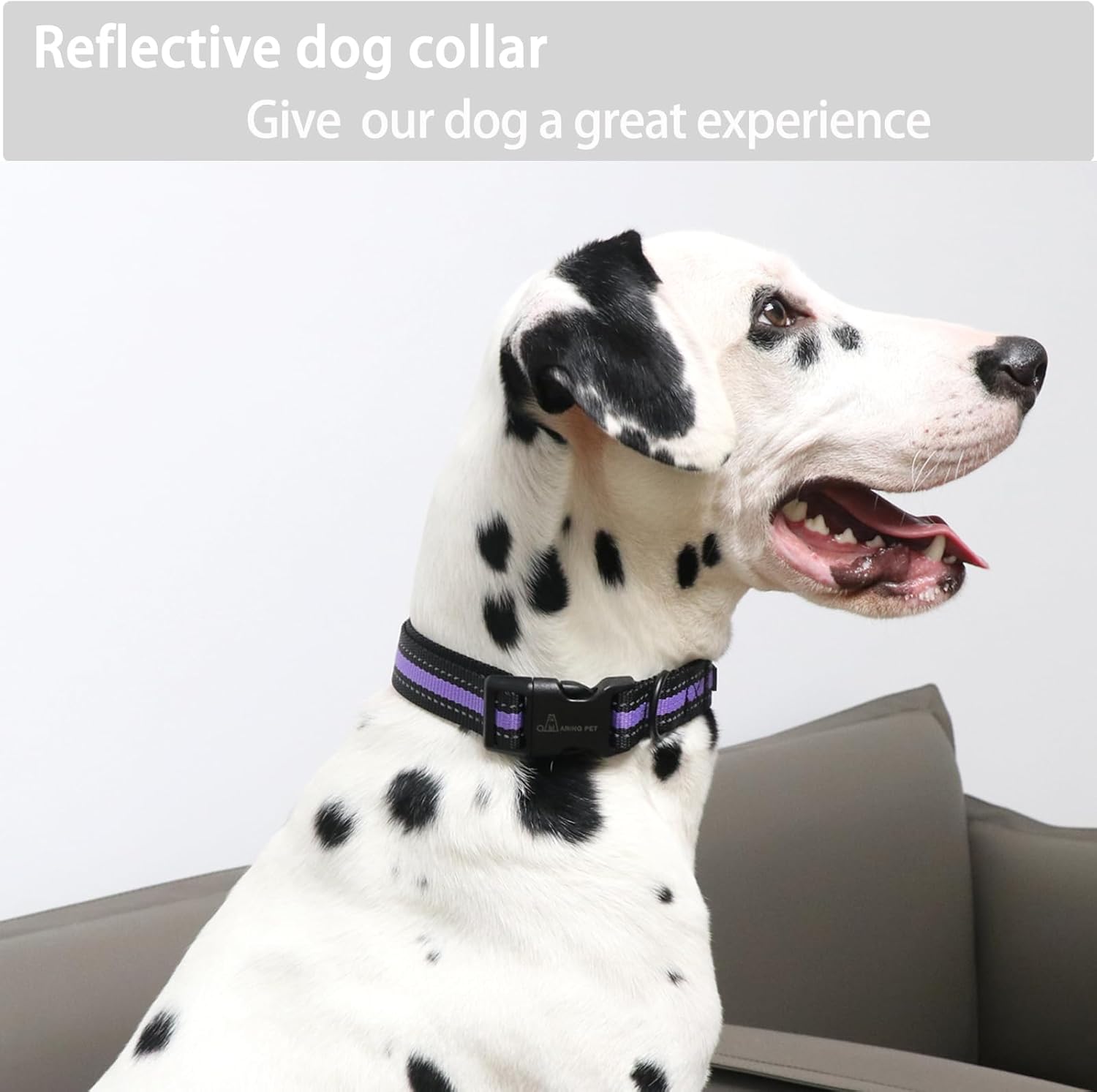 ARING PET Collar reflectante para perro, collar de perro morado suave para perros medianos, collares de perro de nailon ligero con hebilla de