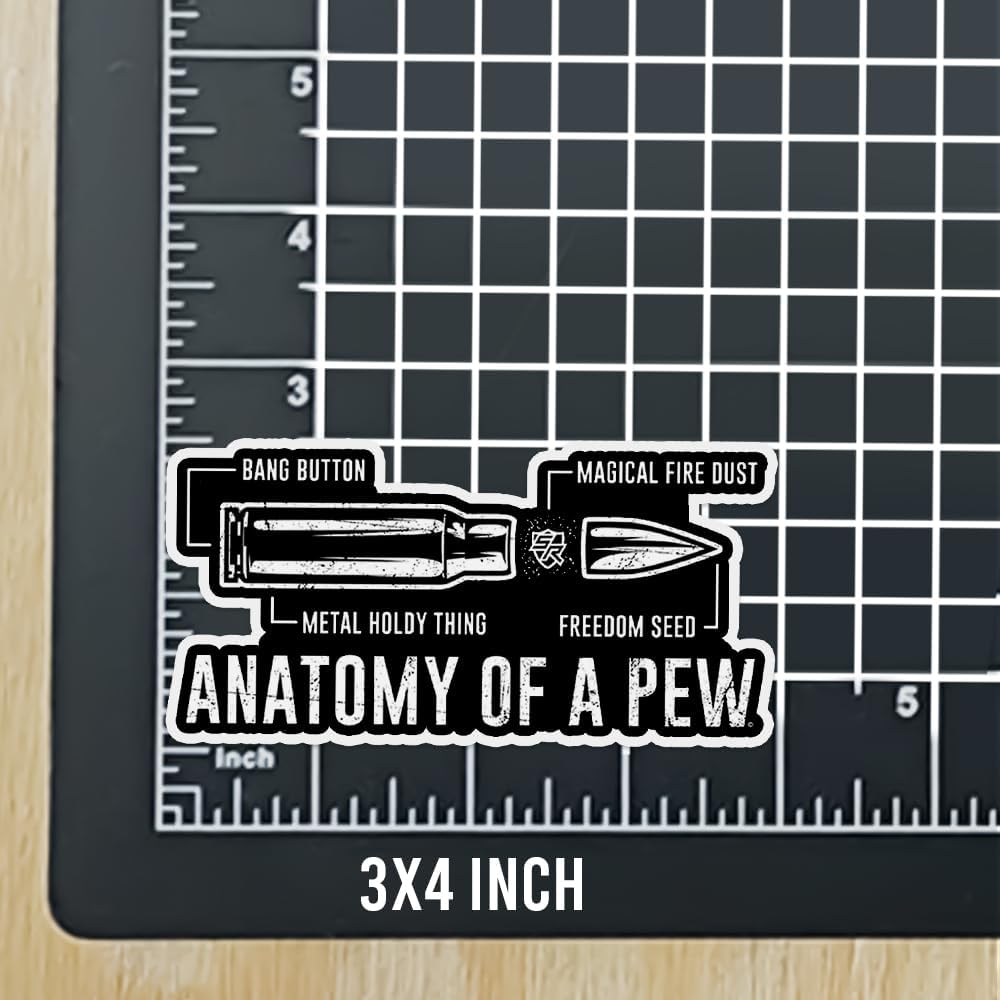 SODAVA Juego de 3 calcomanías de anatomía de un banco, divertidas balas gráficas de regalo para laptop, tableta, botella de agua, accesorio de
